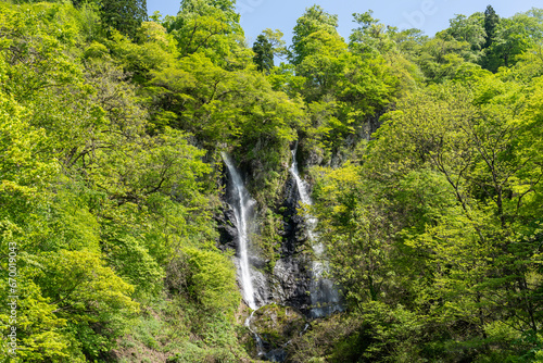 新緑に包まれた夫婦滝 © Nature K Photostudio