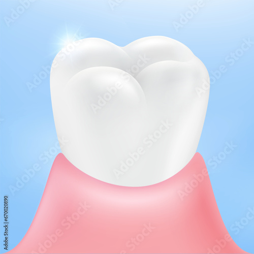 Healthy tooth and gums mean strong, white, clean teeth. realistic vector illustration file.