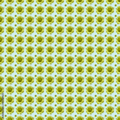 seamless pattern with flowers