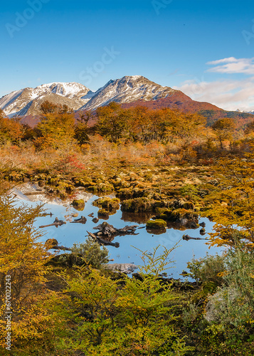 Meadow landscape, cerro alarken, ushuaia, argentina photo