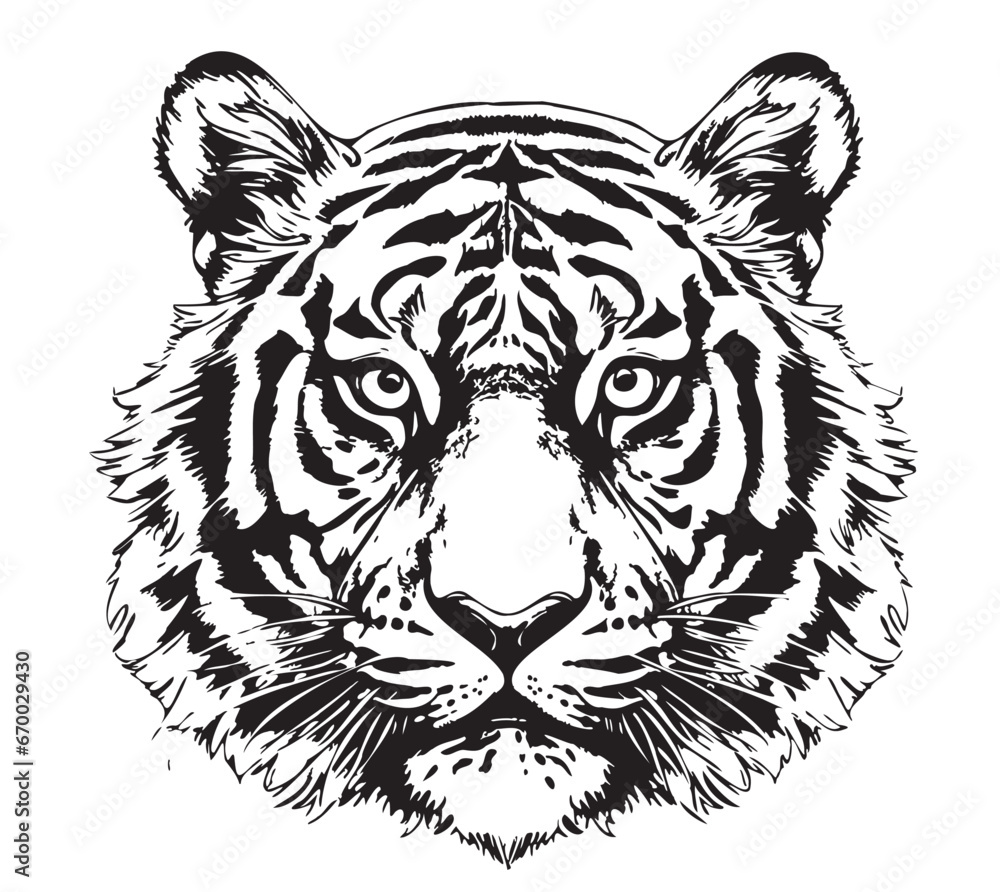 Tiger face hand drawn sketch Vector illustration Wild animals