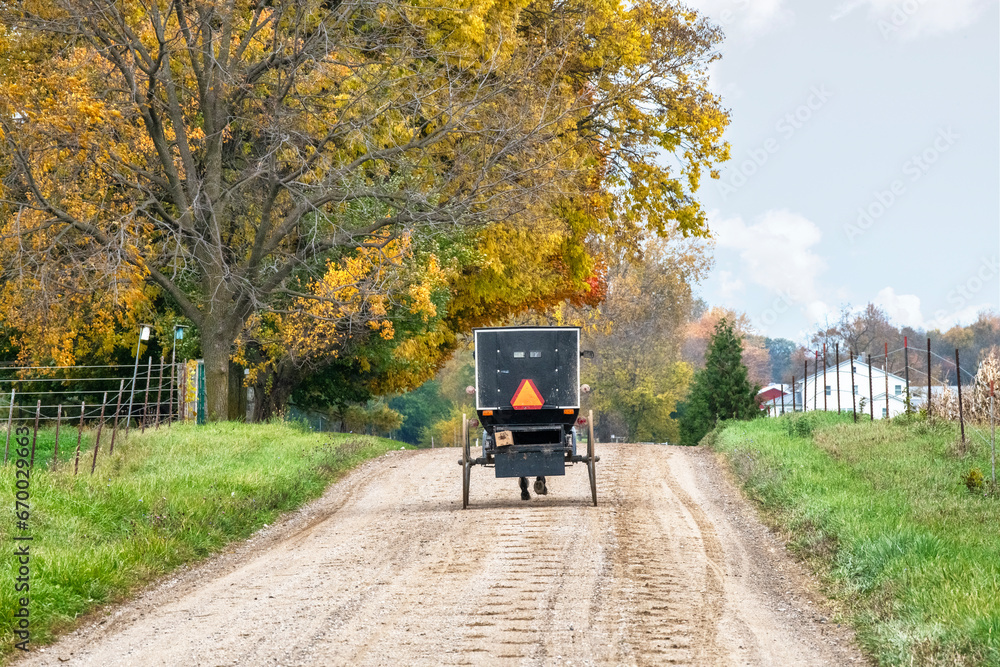 Amish Buggy in Autumn