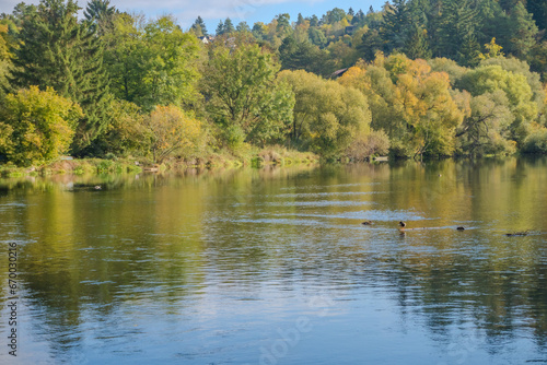 Beautiful views of the autumn river Berounka ducks, forest and mountains, Czech.