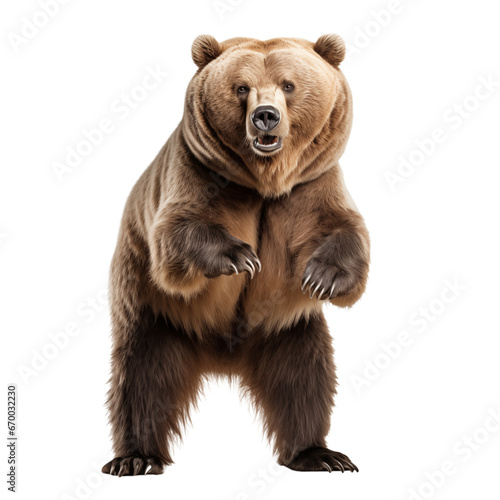 Bear ready to attack made with generative AI - transparant background - png © Jorrit