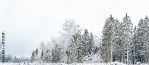 Winter forest with snow,Christmas background.covered frost trees snowdrifts. Magical winter forest. Natural landscape travel outdoors, hiking,spending time outdoors,winter travel,christmas forest. © shintartanya