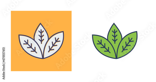 Spearmint Vector Icon