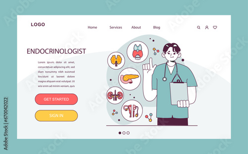 Endocrinology. Endocrine system organs, pancreas thyroid gland, pituitary, adrenal gland and ovaries. Hormones secretion and balance. Healthcare and medical treatment. Flat vector illustration