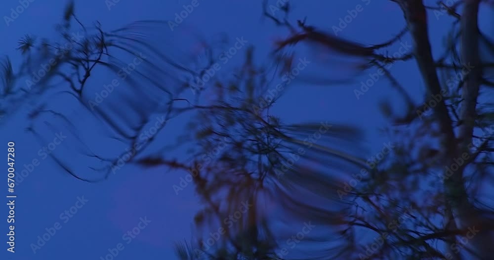 Abstract view of tree reflections on waves running on water surface. Abstract view of tree reflections on waves running on water surface.