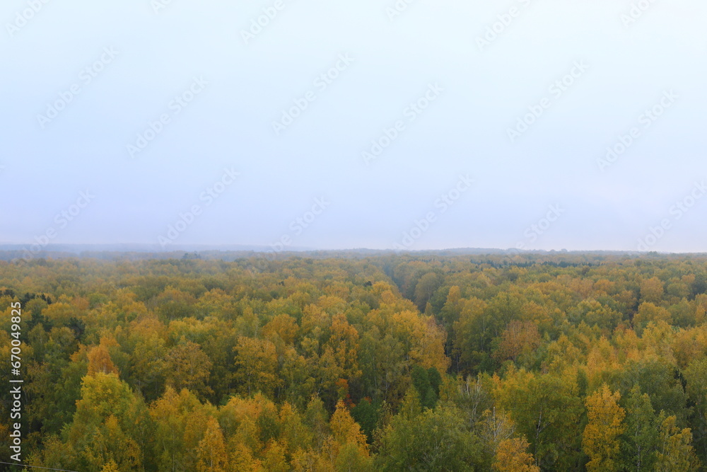 Landscape of the autumn forest. Landscape of the autumn forest.
