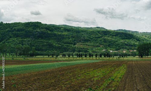 Beautiful landscape in Slovenia. Cultivated agricultural field and green hills covered with forest on the background