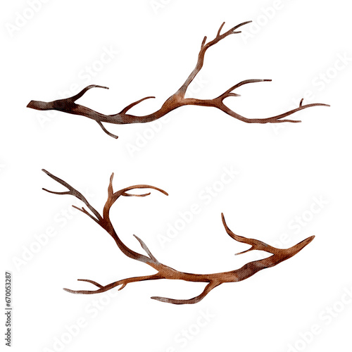 Sketch of branch tree, brown color isolated on white background. Digital watercolor illustration