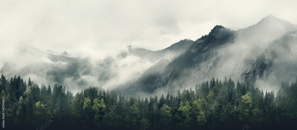 Obraz na płótnie Cloudy ridge with dense forest on one side and wisps on the other w salonie