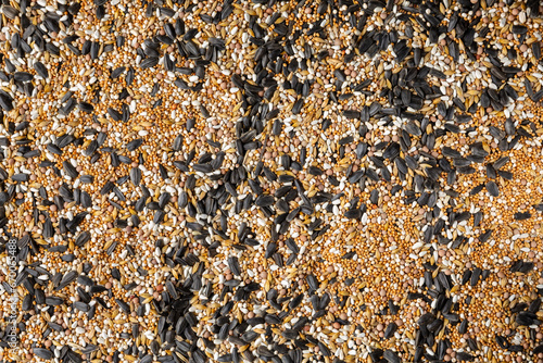 Canvas-taulu Grain mixture for wild birds