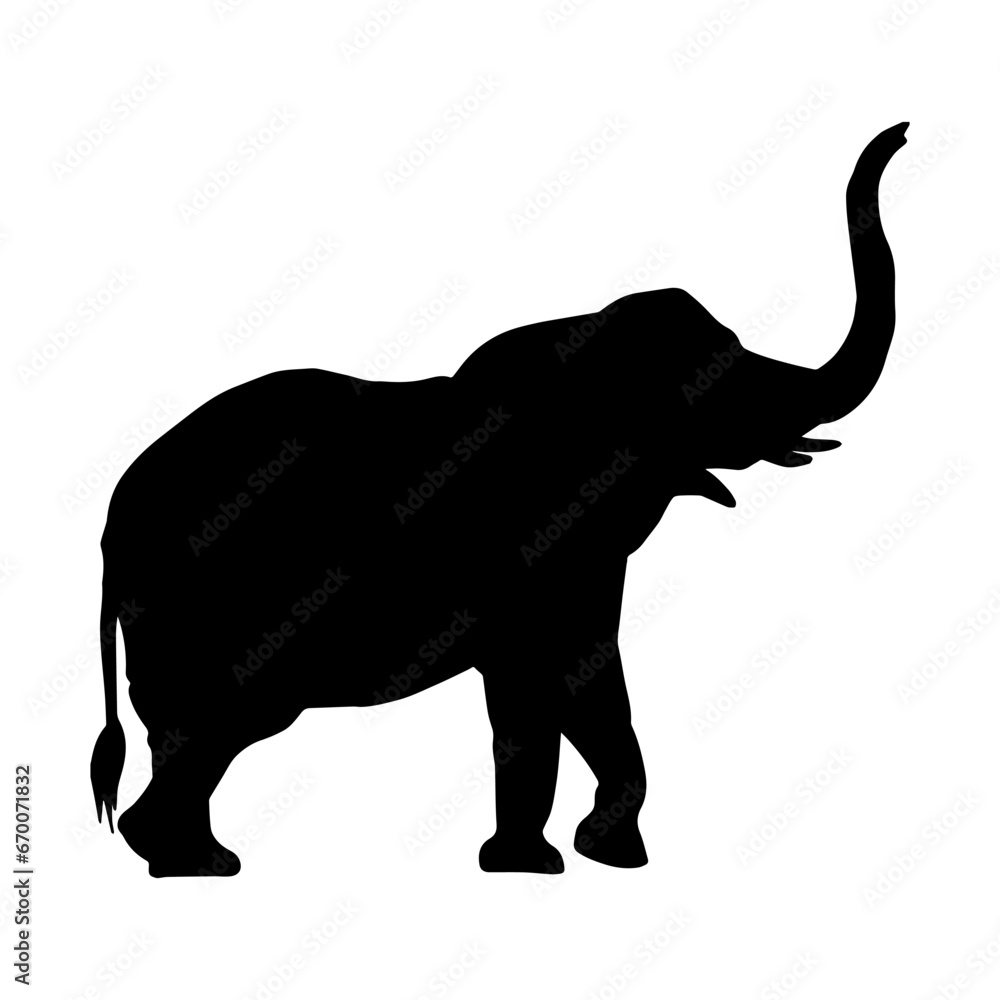 Silhouette of a big elephant animal. Silhouette of a wild elephant animal.