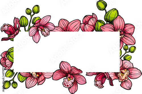 Frame with Pink purple exotic orchid flowers, floral vector illustration for wedding event invitation