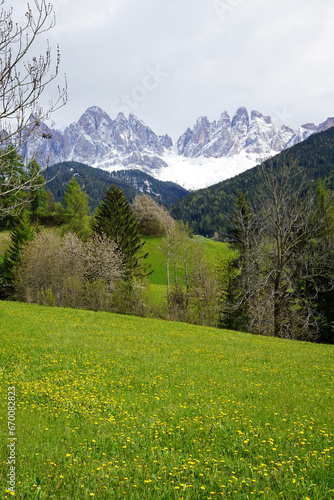 Natural landscape of Santa Maddalena at Val di Funes  land of the pale mountains and beautiful valley in the Dolomites also one of UNESCO World Heritage site- South Tyrol  Italy