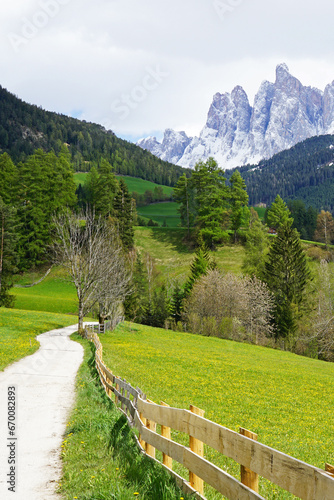 Rural pathway road and hedge fence with Santa Maddalena Landscape at Val di Funes, land of the pale mountains and beautiful valley in the Dolomites one of UNESCO World Heritage- South Tyrol, Italy photo