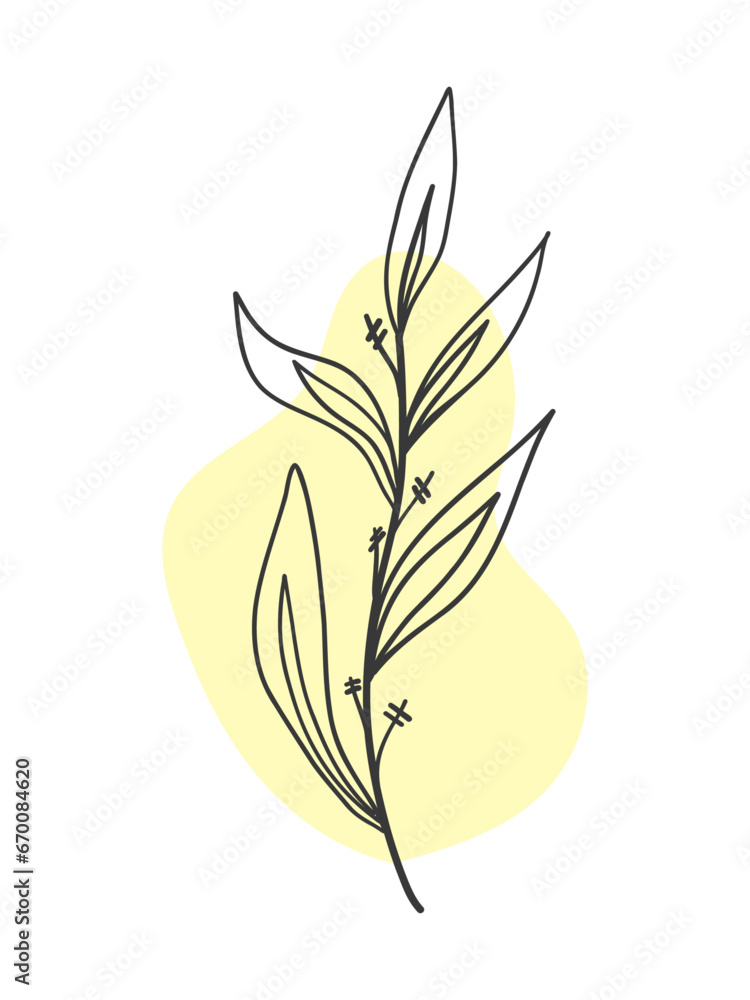 Obraz premium Vector doodle plant, narrow leaves with yellow spot on isolated background. For postcards, prints, designs.