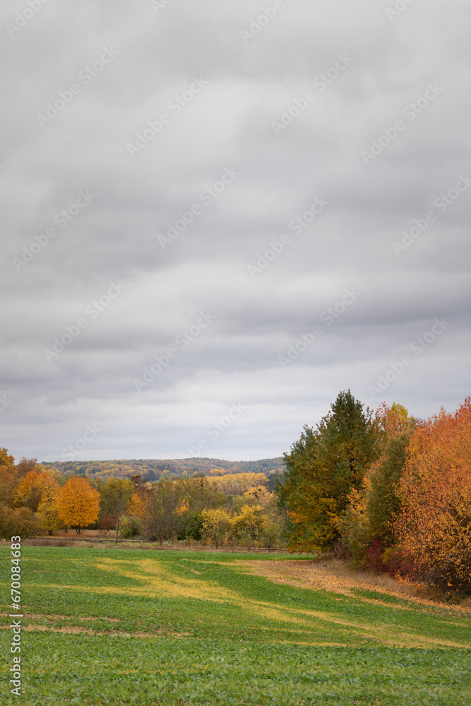 autumn landscape with trees. autumn landscape of fields and trees