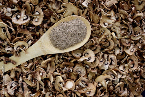 Mushroom powder in a wooden spoon on a background of dry mushrooms.