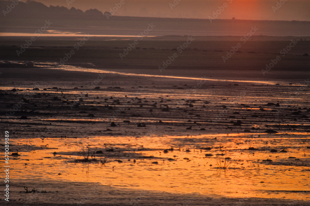 Coucher de soleil, lac du Der, Chantecoq, Haute Marne, France