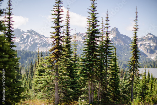 Skyline Trail 