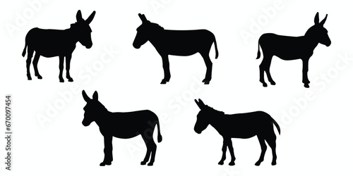 Set of donkey silhouettes. Vector illustration
