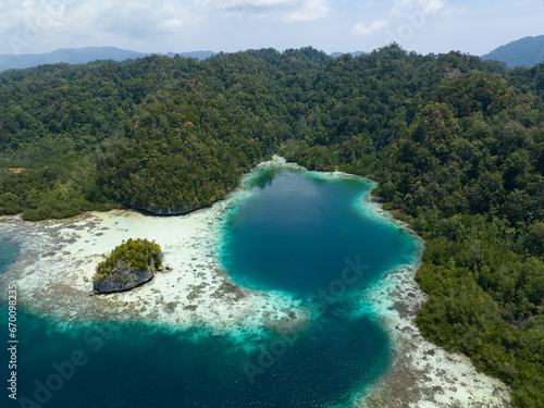 Limestone islands, covered by rainforest, are fringed by coral reefs in Alyui Bay, Raja Ampat, Indonesia. The coral reefs of this tropical region support the greatest marine biodiversity on Earth. photo