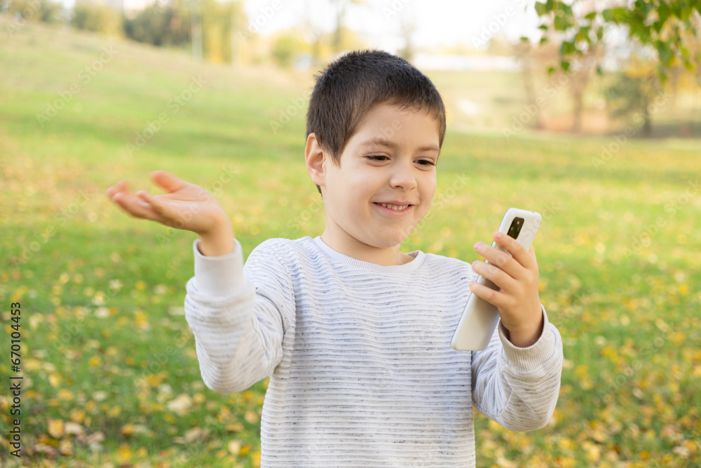 Little boy talking on video call with friends or family in park in autumn
