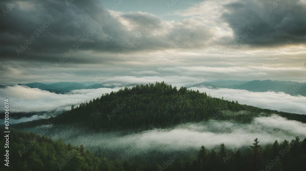 Amazing looking forest covered with clouds. Representing a unique nature full of wonders and beauty