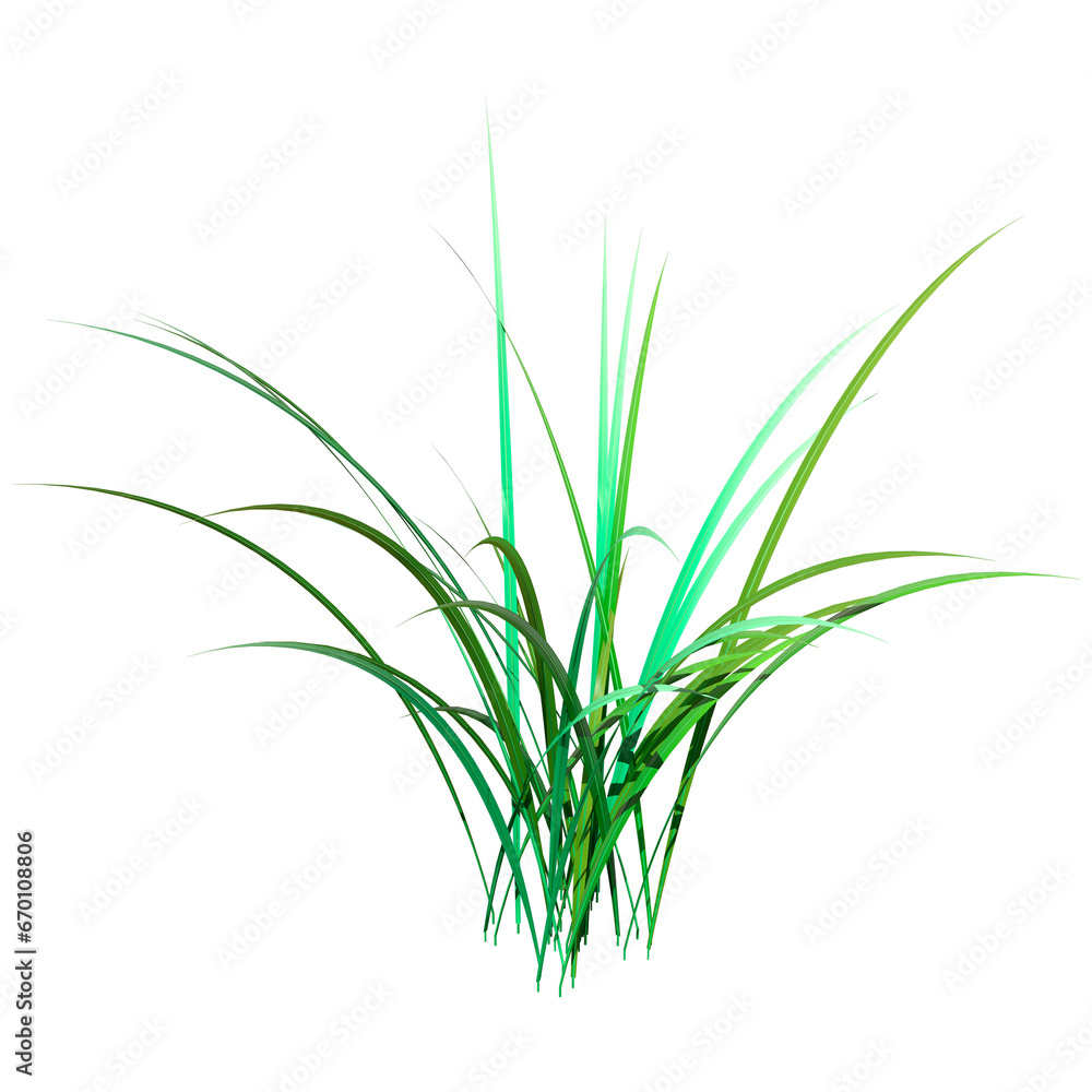 3D Rendering Patch of Grass on White 3D Rendering Patch of Grass on White