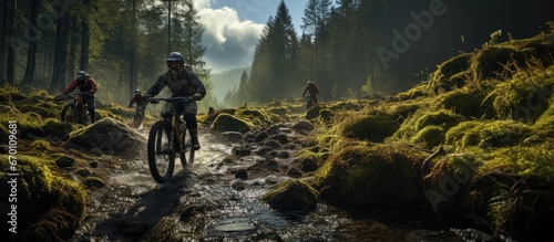 A group of mountain bikers, they cycle through mountain roads in the middle of the forest. photo