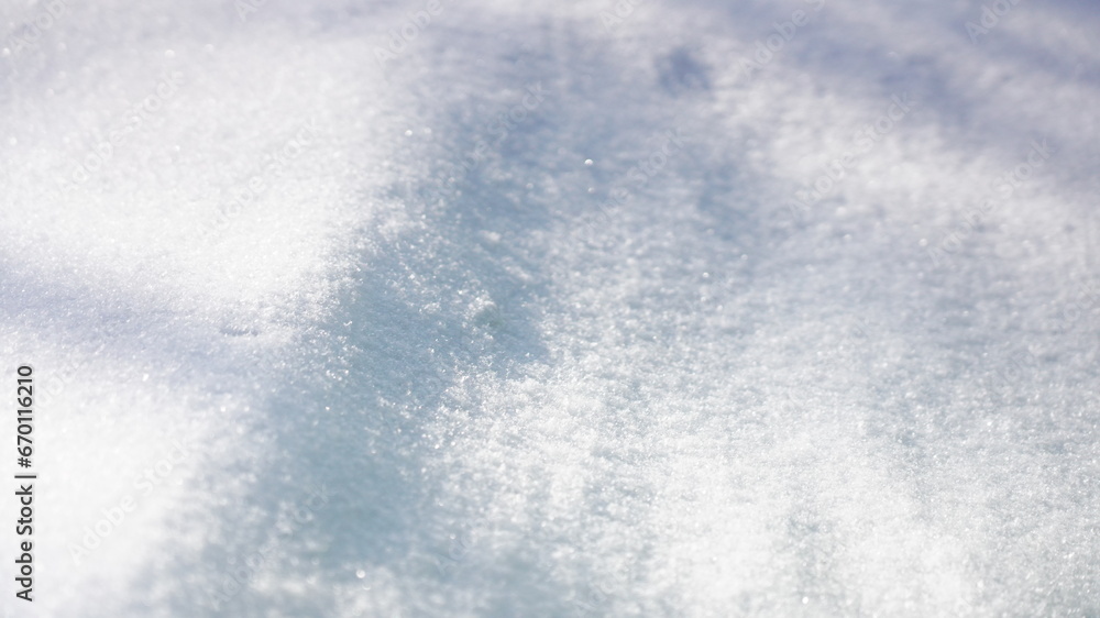 Obraz premium タウシュベツの林道