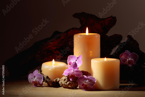 Orchid flowers and burning candles on a background of old wooden snags.