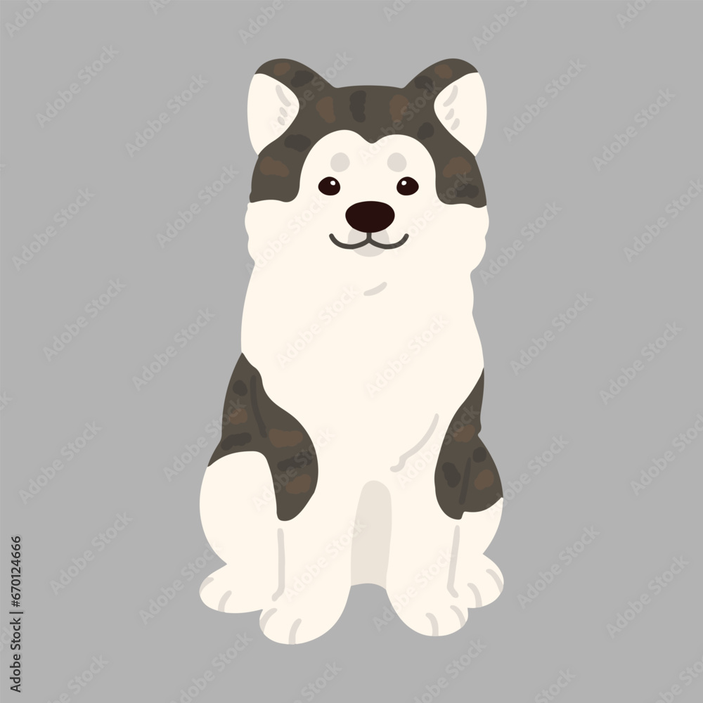Obraz premium Simple and adorable flat dark colored Akita Dog sitting in front view