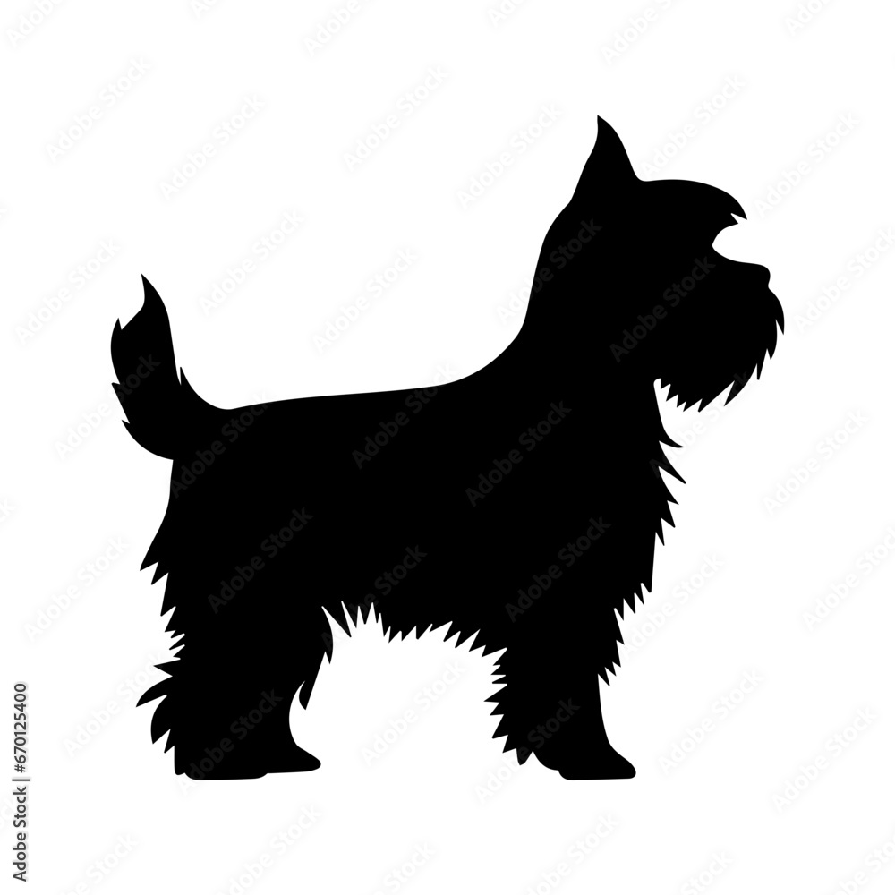 Affenpinscher Dog Vector Silhouette, Generative AI. Affenpinscher Dog Vector Silhouette, Generative AI.
