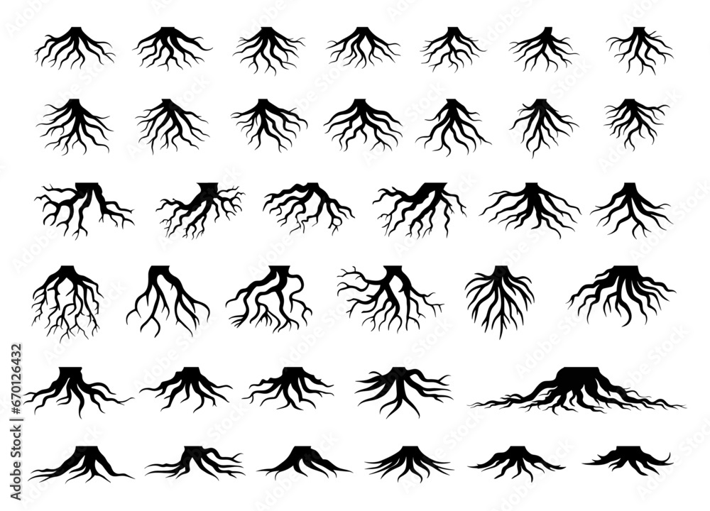 Tree Roots Big Collection. Set of Black Tree Roots Silhouettes Vector Isolated Illustration. Forest Plant Roots Tree Roots Big Collection. Set of Black Tree Roots Silhouettes Vector Isolated Illustration. Forest Plant Roots