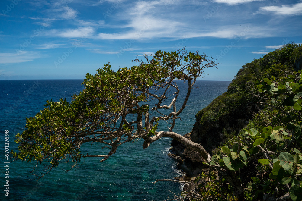 Fototapeta premium Guajataca. Quebradillas, Puerto Rico