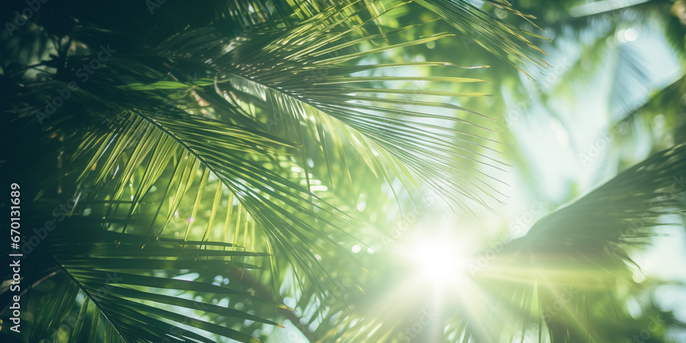 Sunny day, Close up of tropical palms leaves, Sun over green palm leaves, Travel card, generative ai Sunny day, Close up of tropical palms leaves, Sun over green palm leaves, Travel card, generative ai