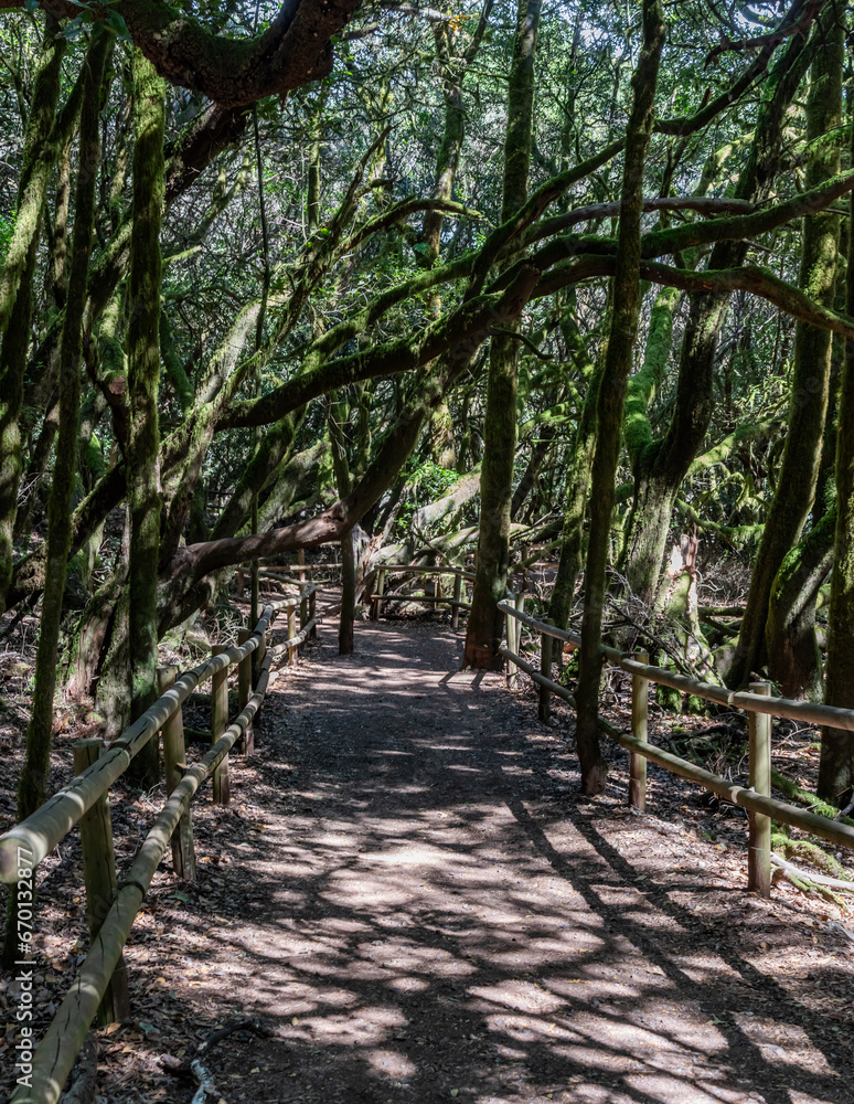 Views around La Gomera Island, The Caneries