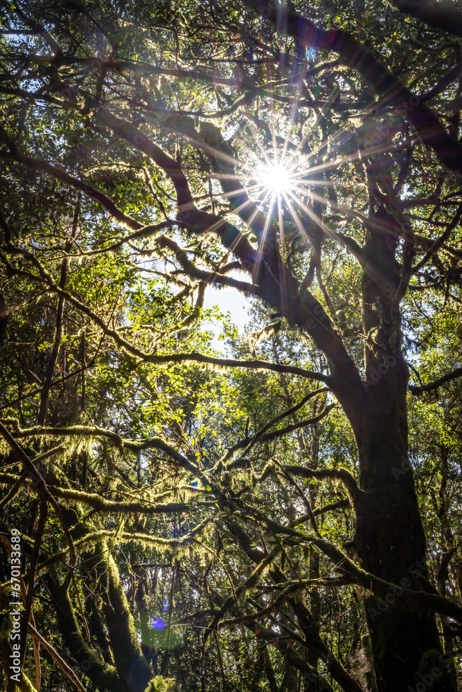 Obraz premium Views around La Gomera Island, The Caneries