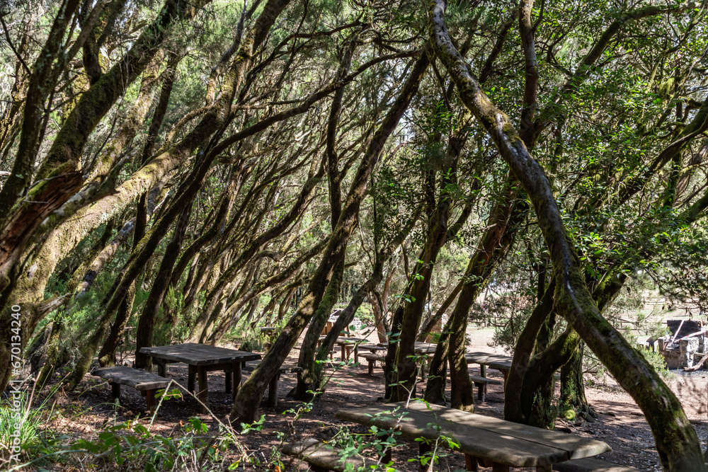 Views around La Gomera Island, The Caneries Views around La Gomera Island, The Caneries