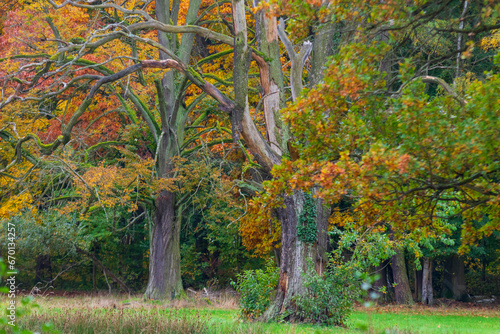 Lindenau Park photo