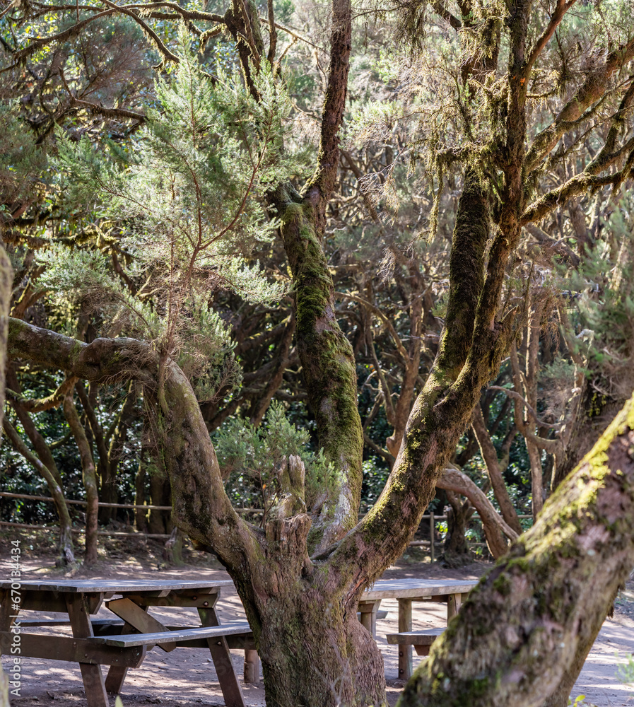 Fototapeta premium Views around La Gomera Island, The Caneries
