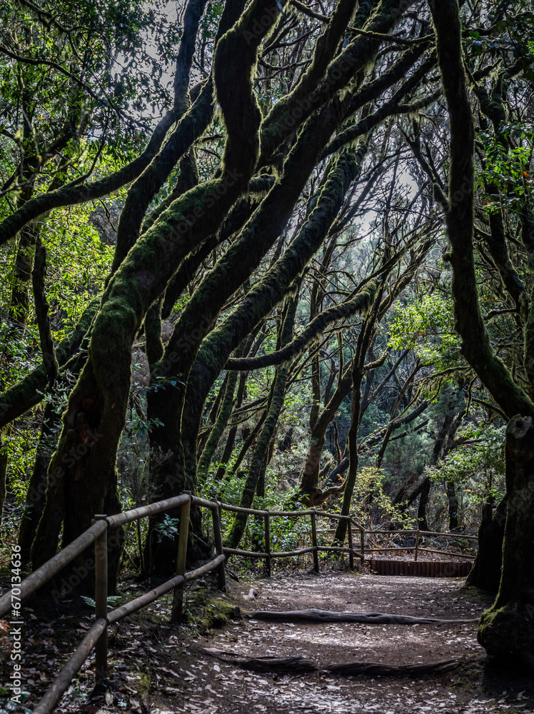 Views around La Gomera Island, The Caneries Views around La Gomera Island, The Caneries