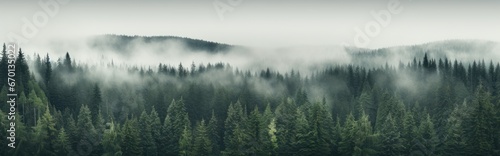 Mountain, forest background with fog around trees, dark green panorama. Walpaper background. gernerative ai, panorama