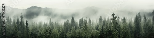 Forest background with fog around trees  dark green panorama. Walpaper background. gernerative ai