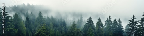 Forest background with fog around trees, dark green panorama. Walpaper background. Panorama, gernerative ai