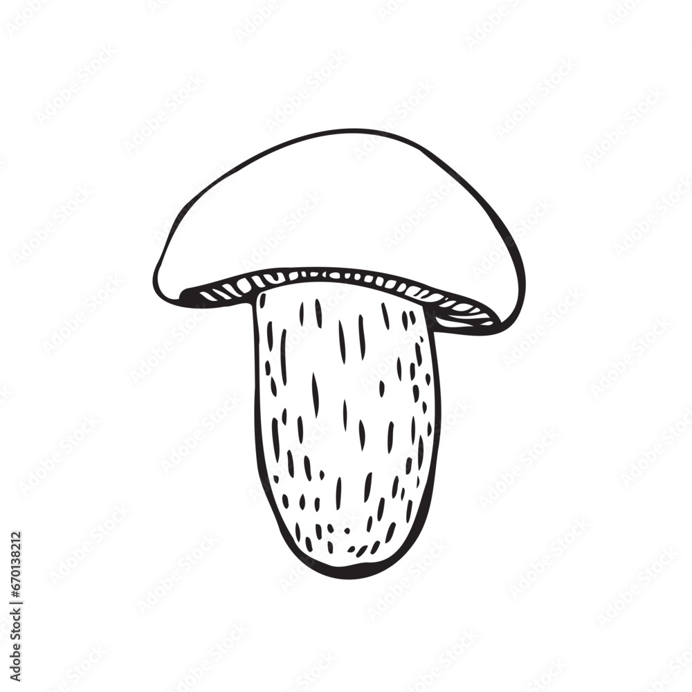 mushroom sketch, silhouette. Drawing of poison. Vector illustration mushroom sketch, silhouette. Drawing of poison. Vector illustration
