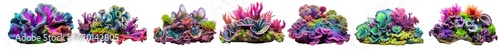 Collection of colorful deep ocean coral reefs and algae mosses, isolated on a transparent background. (PNG, cutout, or clipping path.)